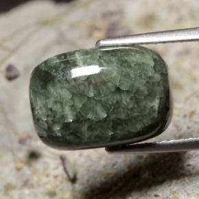 5.99캐럿 천연 그린 세라피나이트, 쿠션 컷, 13.9×9.8 mm, 불투명체