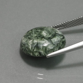 9.92캐럿 천연 그린 세라피나이트, 라운드 컷, 15.95 mm, 불투명체