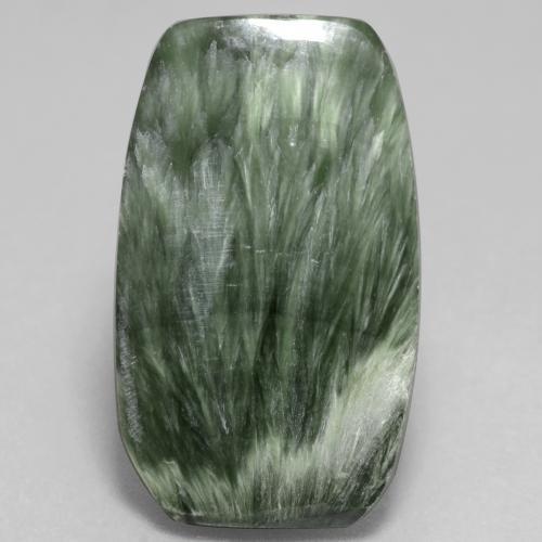 11.68캐럿 천연 미디엄 그린 세라피나이트, 멋진 모양, 26.3×15.7 mm, 불투명체