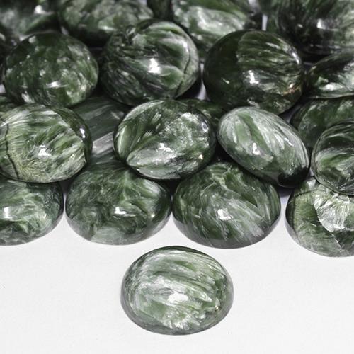 4.85캐럿 천연 아미 그린 세라피나이트, 라운드 컷, 12.05 mm, 불투명체