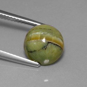 3.99캐럿 천연 노란빛 그린 서펜틴, 라운드 컷, 10.00 mm, 불투명체