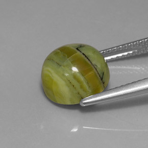 3.99캐럿 천연 노란빛 그린 서펜틴, 라운드 컷, 10.00 mm, 불투명체