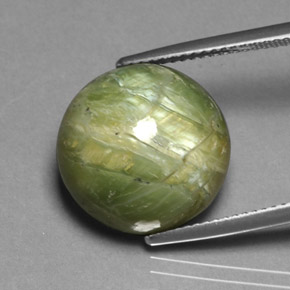 11.85캐럿 천연 노란빛 그린 서펜틴, 라운드 컷, 14.93 mm, 불투명체