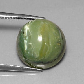 8.26캐럿 천연 노란빛 그린 서펜틴, 라운드 컷, 13.06 mm, 불투명체
