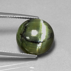 7.53캐럿 천연 노란빛 그린 서펜틴, 라운드 컷, 13.59 mm, 불투명체