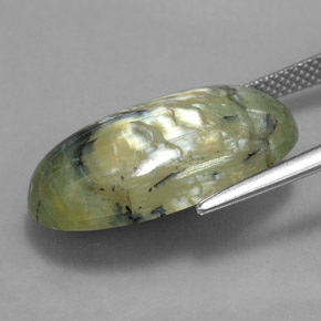 9.95캐럿 천연 그린 서펜틴, 타원형 컷, 22×12.7 mm, 불투명체