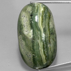 49.97캐럿 천연 그린 서펜틴, 타원형 컷, 36.5×19.6 mm, 불투명체