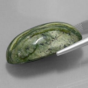49.97캐럿 천연 그린 서펜틴, 타원형 컷, 36.5×19.6 mm, 불투명체