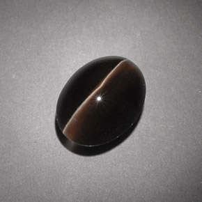 4.54캐럿 천연 브라운 Sillimanite Cat's Eye, 투명한, 10.7×8.1 mm, 투명/반투명