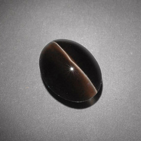 4.54캐럿 천연 브라운 Sillimanite Cat's Eye, 투명한, 10.7×8.1 mm, 투명/반투명