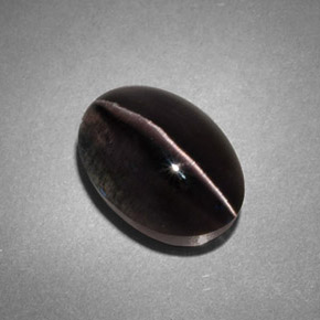4.45캐럿 천연 스모크 Sillimanite Cat's Eye, 투명한, 10.8×7.6 mm, 투명/반투명