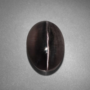 4.45캐럿 천연 스모크 Sillimanite Cat's Eye, 투명한, 10.8×7.6 mm, 투명/반투명