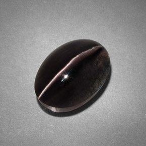 4.45캐럿 천연 스모크 Sillimanite Cat's Eye, 투명한, 10.8×7.6 mm, 투명/반투명