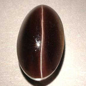 4.63캐럿 천연 브라운 Sillimanite Cat's Eye, 투명한, 11.2×6.8 mm, 투명/반투명