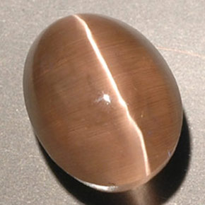 3.56캐럿 천연 브라운 Sillimanite Cat's Eye, 투명한, 9.3×7.1 mm, 투명/반투명