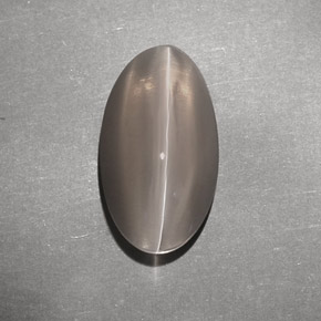 7.02캐럿 천연 브라운 Sillimanite Cat's Eye, 투명한, 14.8×8.2 mm, 투명/반투명