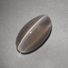 7.02캐럿 천연 브라운 Sillimanite Cat's Eye, 투명한, 14.8×8.2 mm, 투명/반투명