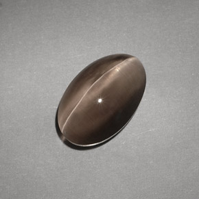 4.88캐럿 천연 브라운 Sillimanite Cat's Eye, 투명한, 12.1×7.7 mm, 투명/반투명