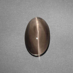4.88캐럿 천연 브라운 Sillimanite Cat's Eye, 투명한, 12.1×7.7 mm, 투명/반투명