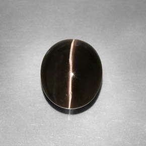4.11캐럿 천연 스모크 Sillimanite Cat's Eye, 투명한, 10.5×8.8 mm, 투명/반투명