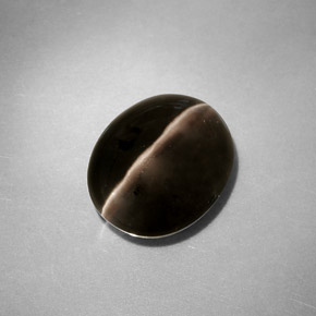 4.11캐럿 천연 스모크 Sillimanite Cat's Eye, 투명한, 10.5×8.8 mm, 투명/반투명