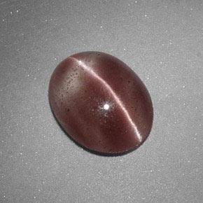 1.60캐럿 천연 라이트 시나몬 브라운 Sillimanite Cat's Eye, 타원형 컷, 9.3×7.4 mm, 투명한