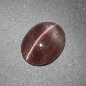 1.60캐럿 천연 라이트 시나몬 브라운 Sillimanite Cat's Eye, 타원형 컷, 9.3×7.4 mm, 투명한