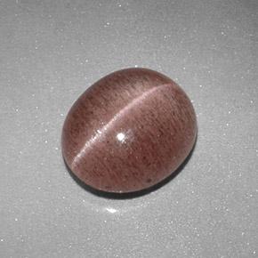 2.04캐럿 천연 라이트 시나몬 브라운 Sillimanite Cat's Eye, 타원형 컷, 8.8×7.6 mm, 투명한
