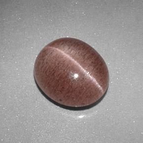 2.04캐럿 천연 라이트 시나몬 브라운 Sillimanite Cat's Eye, 타원형 컷, 8.8×7.6 mm, 투명한