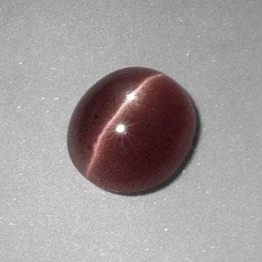 1.64캐럿 천연 피칸 브라운 Sillimanite Cat's Eye, 타원형 컷, 8.4×7.5 mm, 불투명체