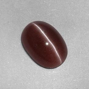 2.05캐럿 천연 피칸 브라운 Sillimanite Cat's Eye, 타원형 컷, 9.6×6.7 mm, 불투명체