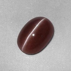2.05캐럿 천연 피칸 브라운 Sillimanite Cat's Eye, 타원형 컷, 9.6×6.7 mm, 불투명체