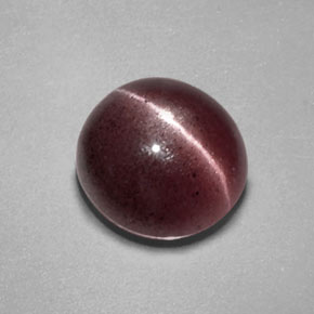 2.55캐럿 천연 브라운 Sillimanite Cat's Eye, 투명한, 8.8×8.4 mm, 투명/반투명
