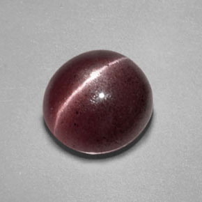 2.55캐럿 천연 브라운 Sillimanite Cat's Eye, 투명한, 8.8×8.4 mm, 투명/반투명