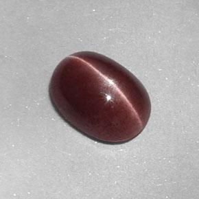 1.58캐럿 천연 미디엄 브라운 Sillimanite Cat's Eye, 타원형 컷, 8.8×6.4 mm, 불투명체