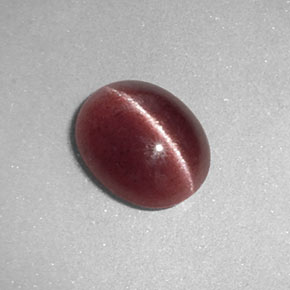 1.26캐럿 천연 브라운 Sillimanite Cat's Eye, 투명한, 8.1×6.6 mm, 투명/반투명