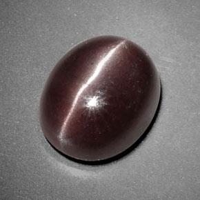 3.85캐럿 천연 초콜릿 브라운 Sillimanite Cat's Eye, 타원형 컷, 10.5×8.7 mm, 불투명체