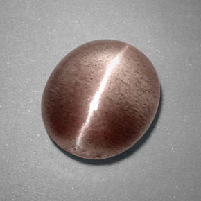 3.38캐럿 천연 브라운 Sillimanite Cat's Eye, 투명한, 10.4×9 mm, 투명/반투명