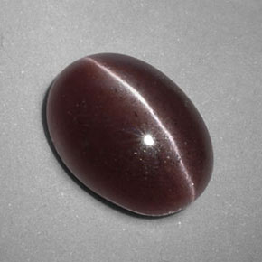 3.47캐럿 천연 브라운 Sillimanite Cat's Eye, 타원형 컷, 11.8×8.5 mm, 불투명체