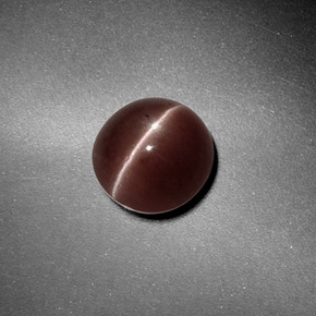 1.82캐럿 천연 브라운 Sillimanite Cat's Eye, 라운드 컷, 7.32 mm, 투명한