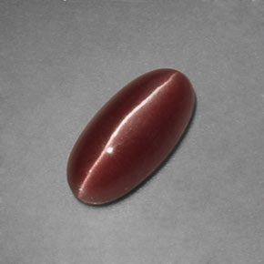 1.12캐럿 천연 브라운 Sillimanite Cat's Eye, 투명한, 9.3×4.5 mm, 투명/반투명
