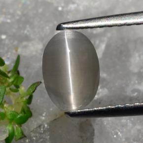 1.23캐럿 천연 회갈색 실리마나이트 고양이 눈, 타원형 컷, 투명한