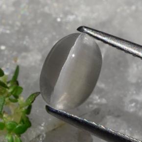 1.23캐럿 천연 회갈색 실리마나이트 고양이 눈, 타원형 컷, 투명한