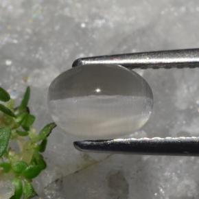 1.23캐럿 천연 회갈색 실리마나이트 고양이 눈, 타원형 컷, 투명한