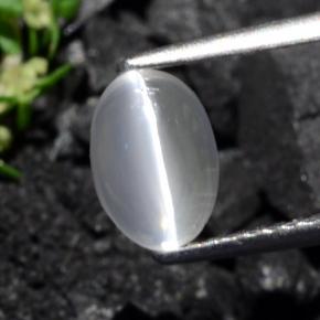 1.40캐럿 천연 회갈색 실리마나이트 고양이 눈, 타원형 컷, 투명한