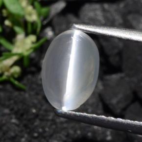 1.40캐럿 천연 회갈색 실리마나이트 고양이 눈, 타원형 컷, 투명한