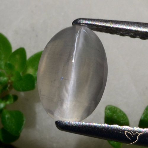 1.65ct 자연스러운 매우 밝은 회색 실리마나이트 고양이 눈, 타원형, 투명한