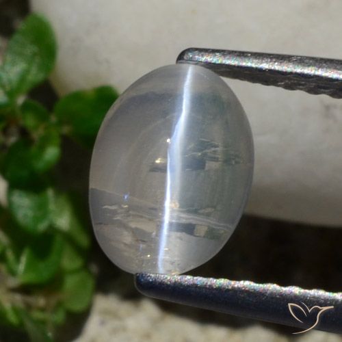 1.42ct 자연스러운 매우 밝은 회색 실리마나이트 고양이 눈, 타원형, 투명한