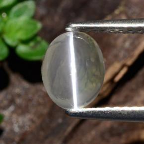 1.14캐럿 천연 연기 실리마나이트 고양이 눈, 타원형 컷, 투명한