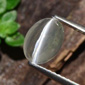 1.14캐럿 천연 연기 실리마나이트 고양이 눈, 타원형 컷, 투명한